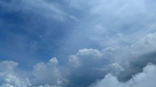 Tropske ptice u kolumbijskom Parque National Natural Tatamá u zapadnim Andama. Foto: Maja Bjelić