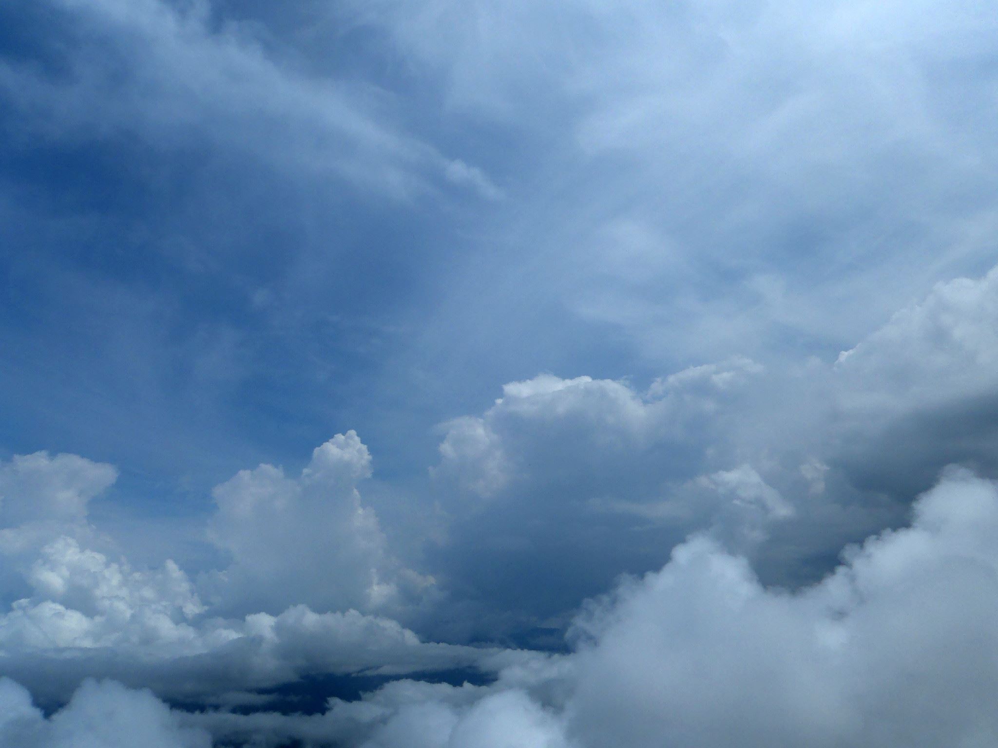 Tropske ptice u kolumbijskom Parque National Natural Tatamá u zapadnim Andama. Foto: Maja Bjelić