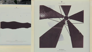 Izložba fotografija “Prijatelji mora” Izložba fotografija “Prijatelji mora”