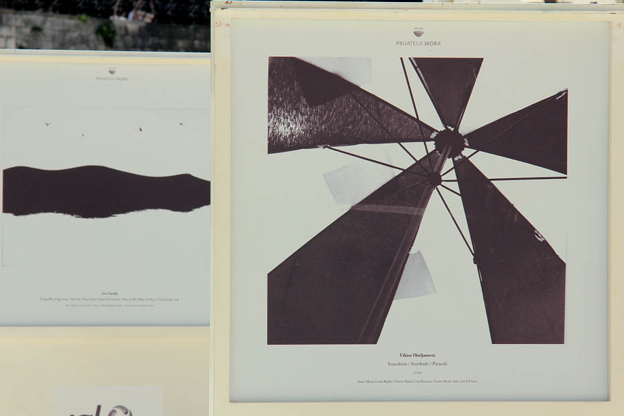 Izložba fotografija “Prijatelji mora” Izložba fotografija “Prijatelji mora”