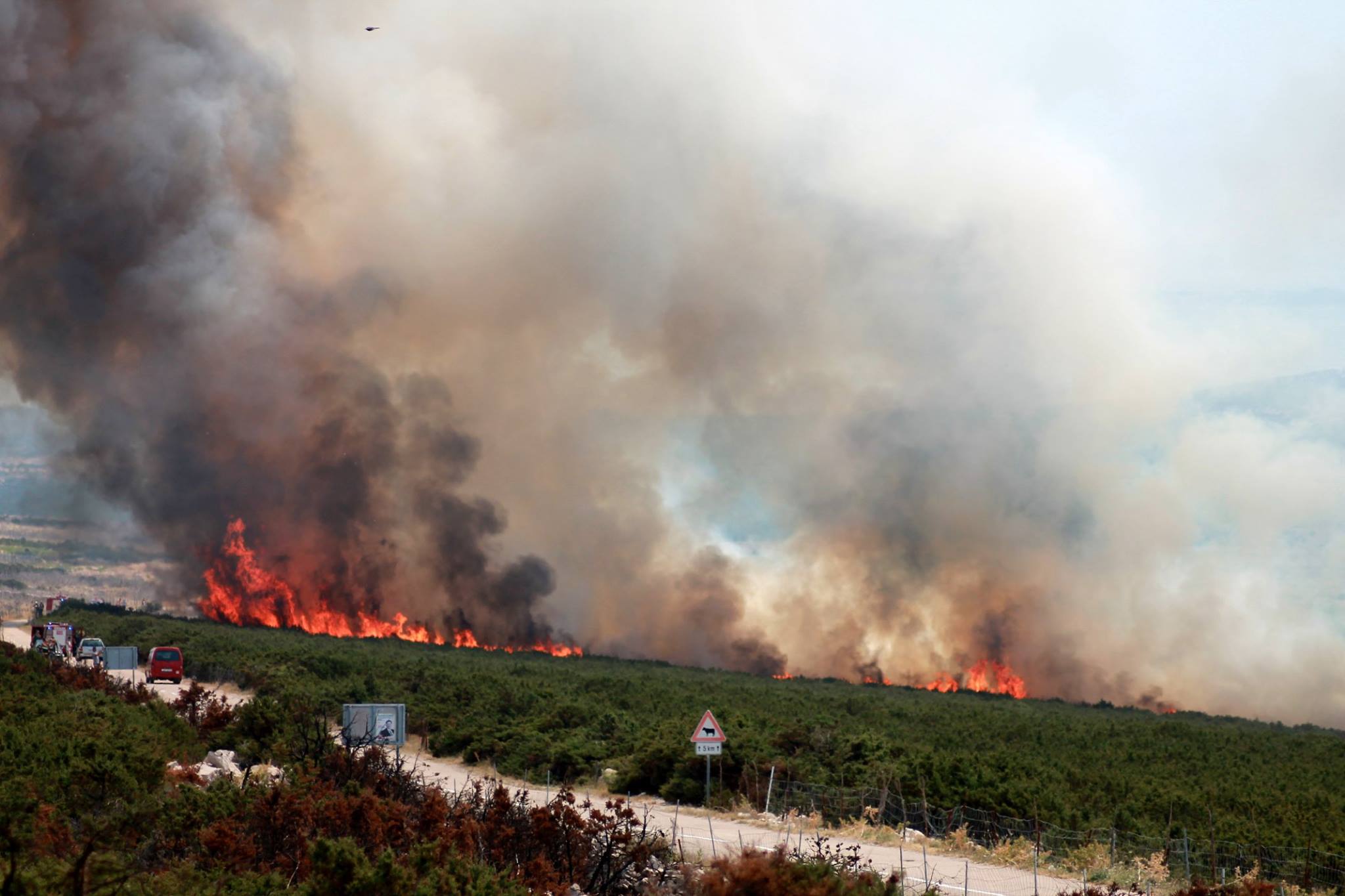 Pod kontrolu stavljen ponovo aktiviran požar kod Košljuna na Pagu
