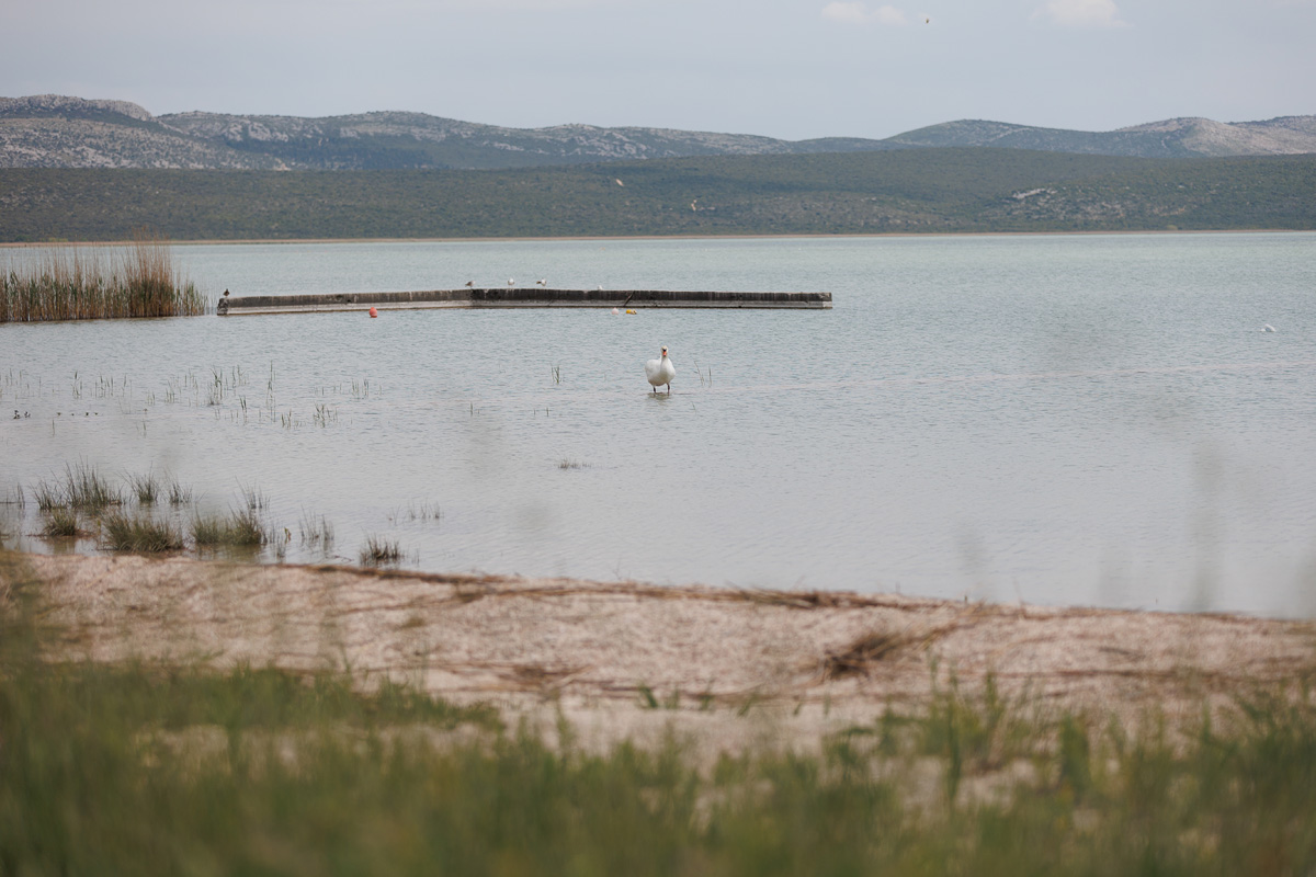 Materine užance @ kamp Crkvine, Vransko jezero Materine užance @ kamp Crkvine, Vransko jezero