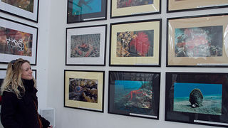 Otvorenje izložbe “Zagrljaj dubine” u Gradskoj loži, Foto: Leo Banić Otvorenje izložbe “Zagrljaj dubine” u Gradskoj loži, Foto: Leo Banić