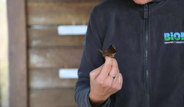 Škola prstenovanja u PP Vransko jezero