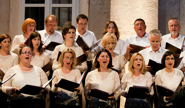 Kneževa palača: Koncert HPGD “Zoranić” 14. lipnja 2011, Foto: Leo Banić