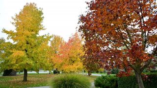 Prekrasne boje bjelovarske jeseni, Photo: Damir Špehar/PIXSELL
