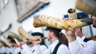 51. Saljske užance, 8. kolovoza 2010. (foto:Saša Čuka)