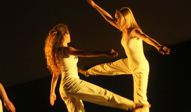 “Colour” Zadarskog plesnog ansambla (Foto:Saša Čuka)