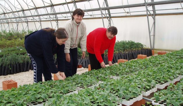 Zemunik – rasadnik Piket (Foto: ezadar.hr)