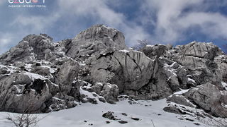 Tulove grede pod snježnim pokrivačem Tulove grede pod snježnim pokrivačem
