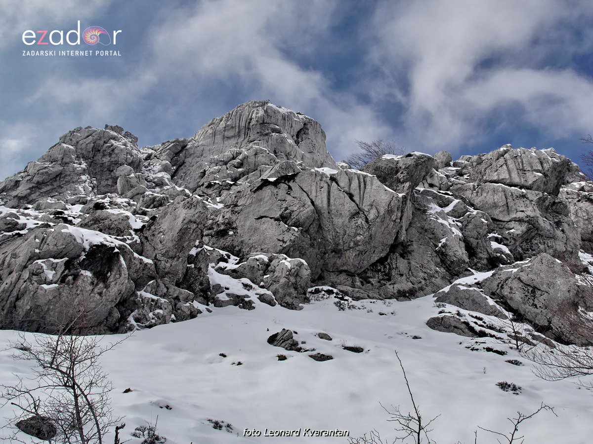 Tulove grede pod snježnim pokrivačem Tulove grede pod snježnim pokrivačem