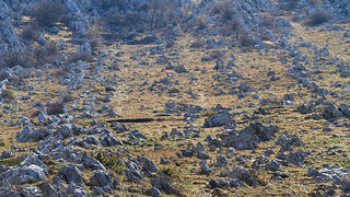 Izlet u Libinje 6. travnja 2011, Foto: Leo Banic