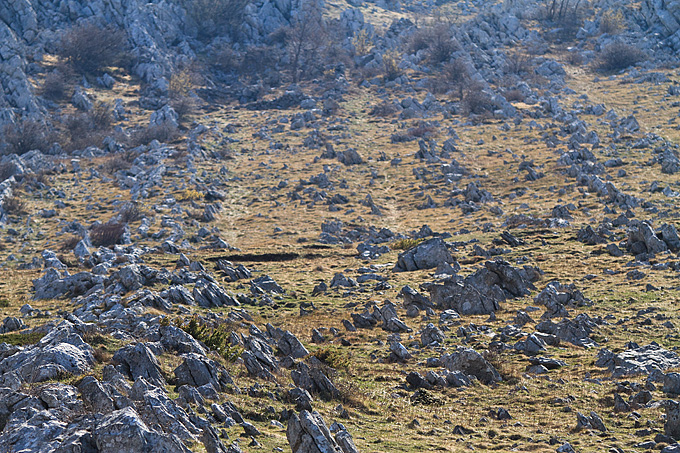 Izlet u Libinje 6. travnja 2011, Foto: Leo Banic