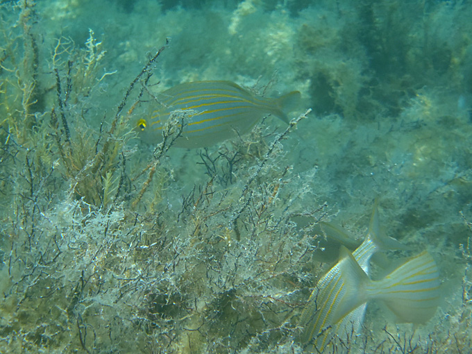 OLYMPUS DIGITAL CAMERA OLYMPUS DIGITAL CAMERA