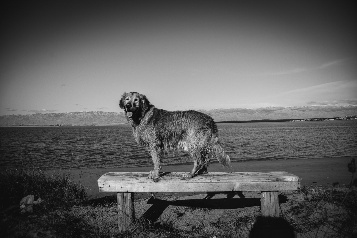 Crno bijela bajka na Kraljičinoj plaži, foto: Iva Perinčić