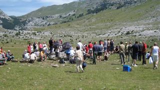 Image 1177357 (auto)