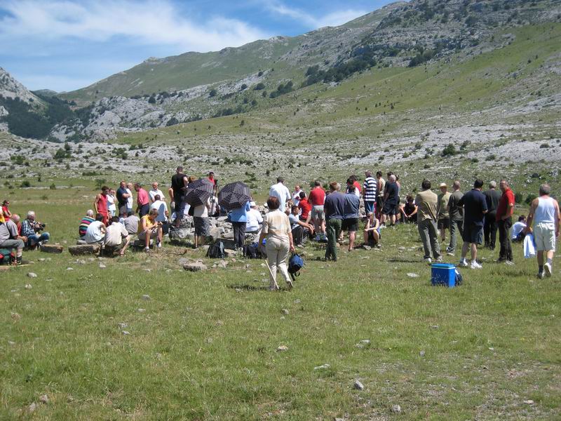 Image 1177357 (auto)