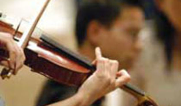 violina (foto: voanews.com)