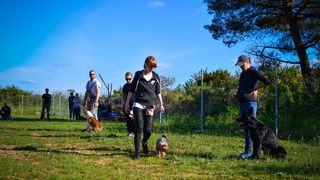 Kinološka udruga Malinois