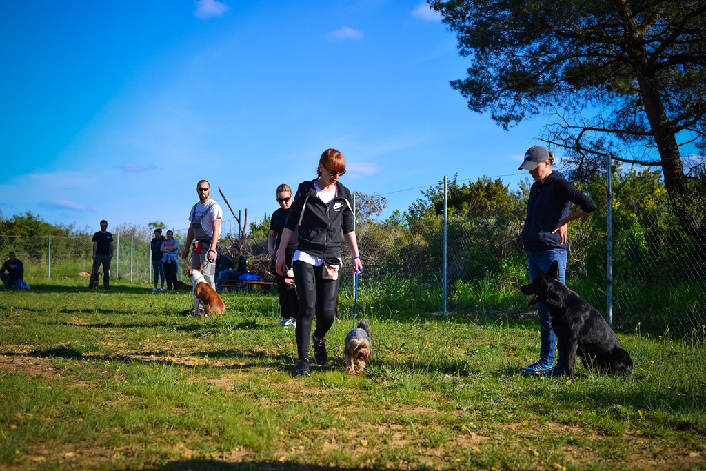 Kinološka udruga Malinois