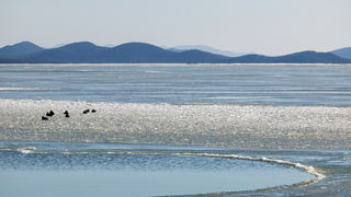 Debeli minusi i orkanska bura zaledili Vransko jezero Debeli minusi i orkanska bura zaledili Vransko jezero
