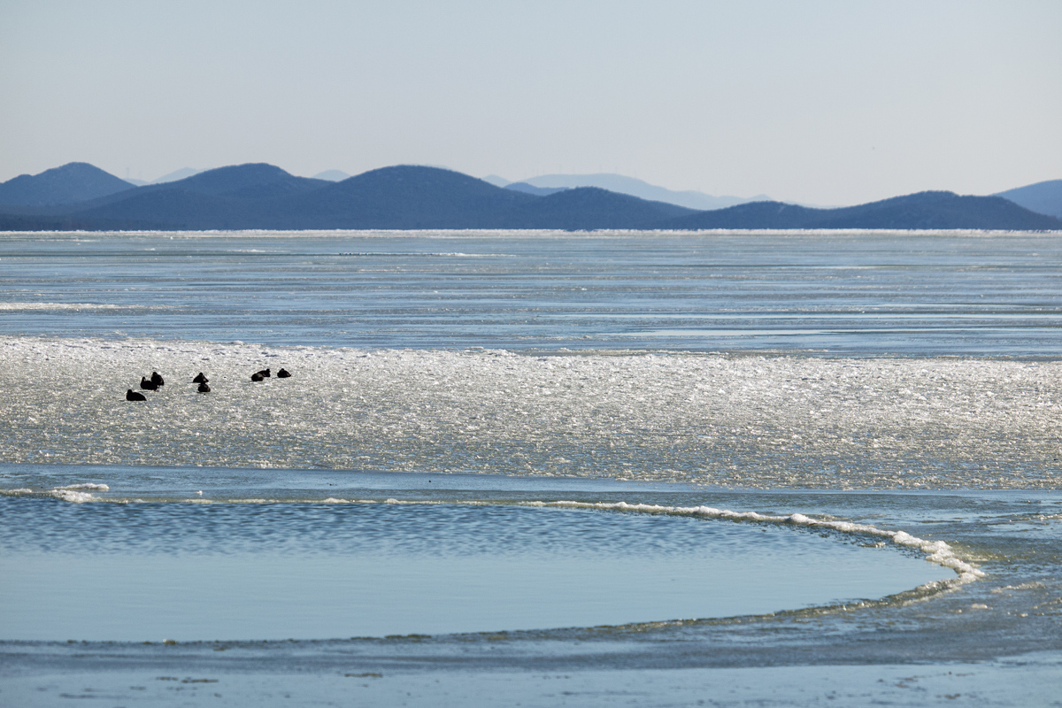 Debeli minusi i orkanska bura zaledili Vransko jezero Debeli minusi i orkanska bura zaledili Vransko jezero