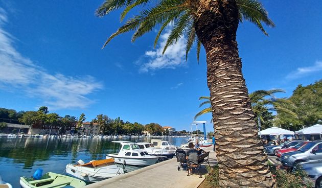 Jazine, vrijeme, proģnoza, dhmz, palma, suncano