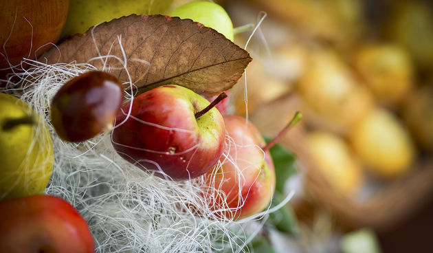 Sajam jabuka srednje škole Stanka Ožanića, foto: Marin Pitton