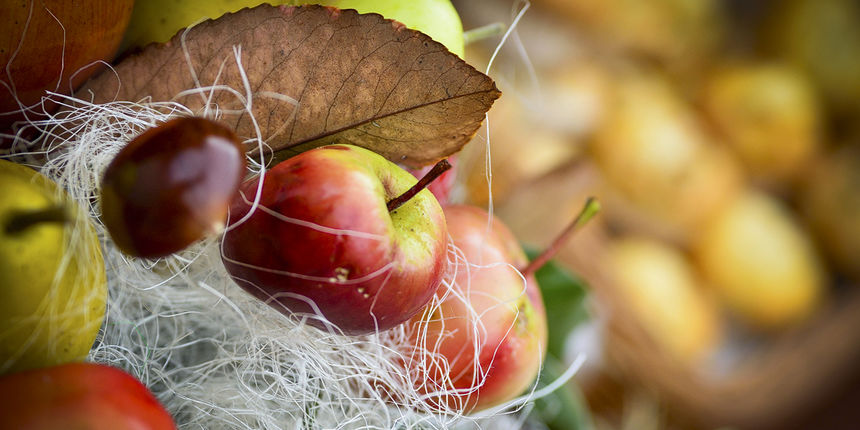 Sajam jabuka srednje škole Stanka Ožanića, foto: Marin Pitton