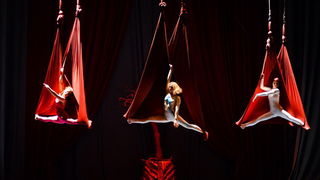 Circo Art u HNK Zadar izveo predstavu “Povratak u prirodu”