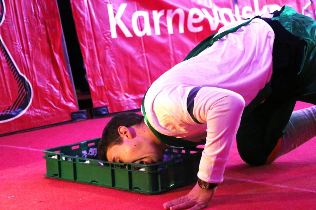 Virske maškare 2017: Karnevalske igre i koncert grupe Vista Virske maškare 2017: Karnevalske igre i koncert grupe Vista