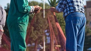 Ribar krpa mrižu svoju (foto:Saša Čuka) Ribar krpa mrižu svoju (foto:Saša Čuka)