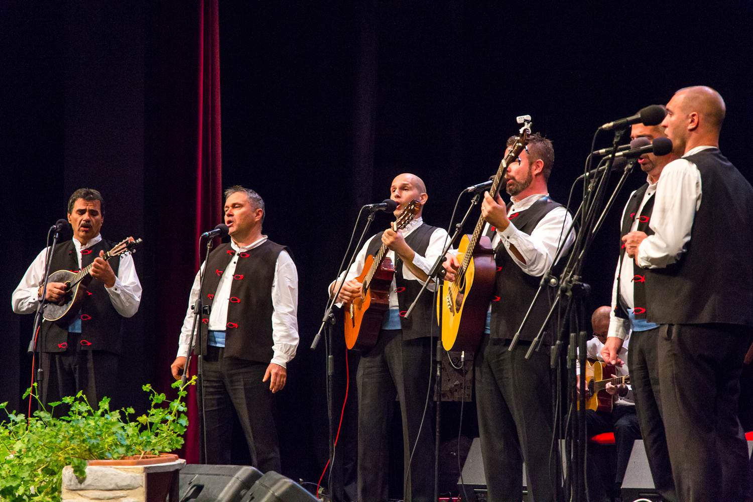 Klapa “Libar” je 30. listopada obilježila 10-tu obljetnicu, Foto: Mladen Radolović Mrlja
