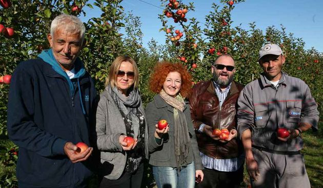 Dr. sc. Tomislav Kos