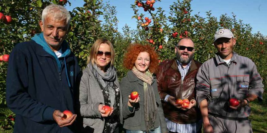 Dr. sc. Tomislav Kos