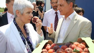 Zadar, 170710.
Jadranka Kosor pustila je u rad sustav za navodnavanje na poljoprivrednom podrucju Bastica.
Na slici: gradonacelnik Benkovca ponudio je premijerki breskve s ovog podrucja.
Foto: Vladimir Ivanov / CROPIX