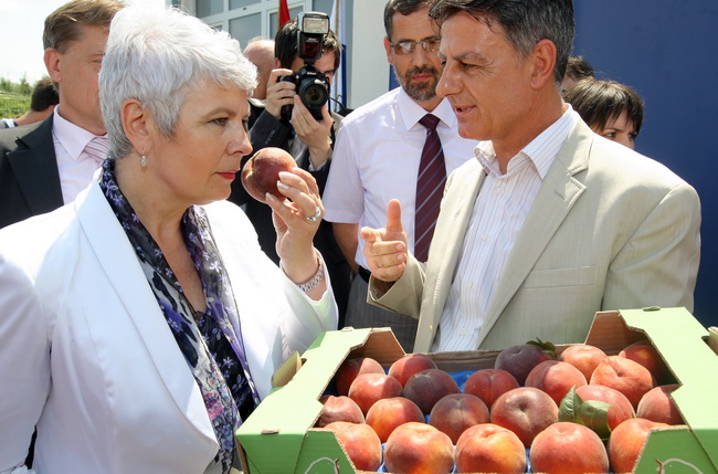 Zadar, 170710.
Jadranka Kosor pustila je u rad sustav za navodnavanje na poljoprivrednom podrucju Bastica.
Na slici: gradonacelnik Benkovca ponudio je premijerki breskve s ovog podrucja.
Foto: Vladimir Ivanov / CROPIX