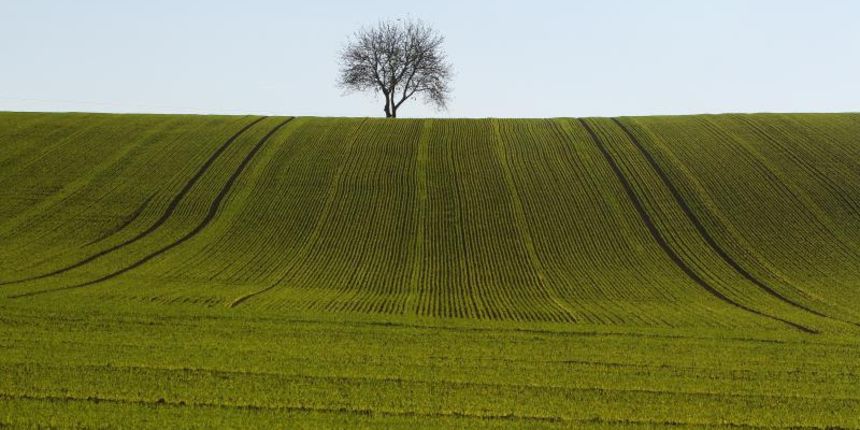 Koprivnica – 30-ak hektara velika oranica s posijanom psenicom. Photo: Marijan Susenj/PIXSELL