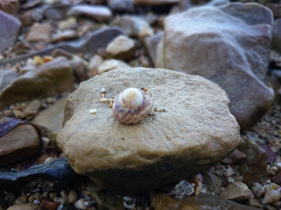 Jutarnji đir Puta Bajlom, foto: Iva Perinčić