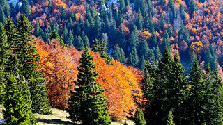 Đir do Zavižana, sjeverni Velebit, foto: Leo Banić