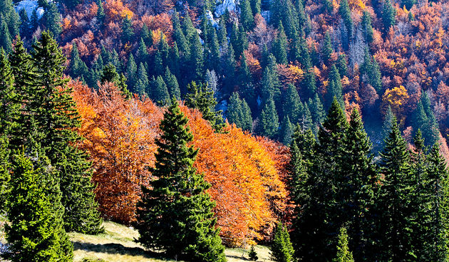 Đir do Zavižana, sjeverni Velebit, foto: Leo Banić