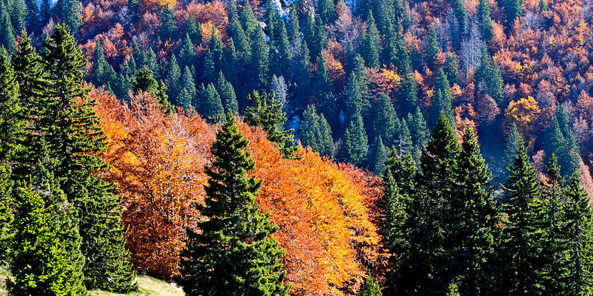 Đir do Zavižana, sjeverni Velebit, foto: Leo Banić
