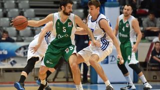 ABA liga, 15. kolo, KK Zadar – KK Krka 67-74. Photo: Dino Stanin/PIXSELL ABA liga, 15. kolo, KK Zadar – KK Krka 67-74. Photo: Dino Stanin/PIXSELL