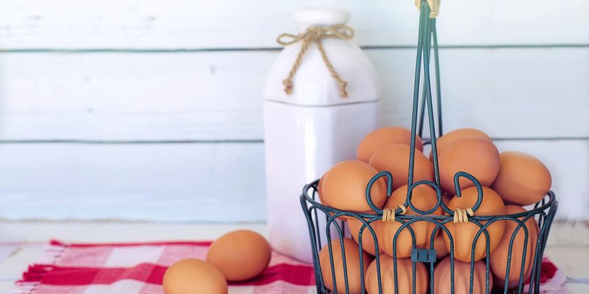 Jaja i mlijeko Jaja i mlijeko