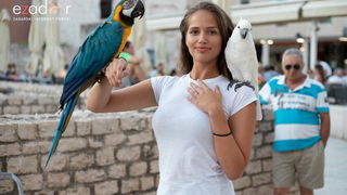 Večernji đir po gradu, petak 13. srpnja 2018. Večernji đir po gradu, petak 13. srpnja 2018.