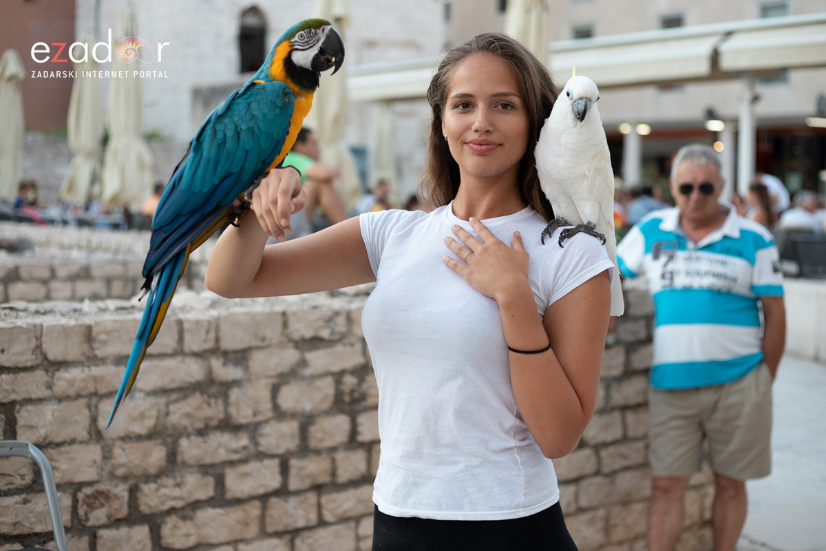 Večernji đir po gradu, petak 13. srpnja 2018. Večernji đir po gradu, petak 13. srpnja 2018.