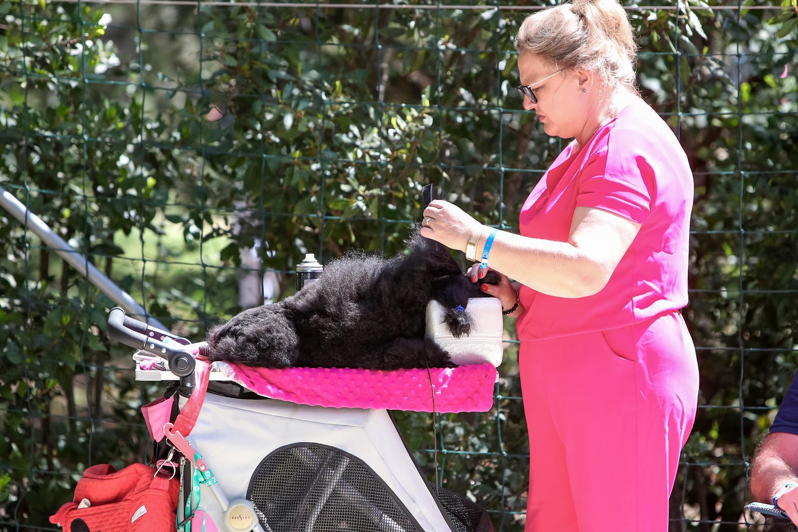 Međunarodna izložba pasa CACIB 2023