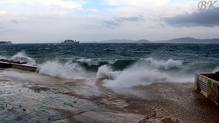 Jugo u Zadru 29. ozujka 2009. (Foto: Boris Kacan)