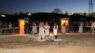 Blagdanski koncert okupio je brojne izvođače. Nastupio je Marko Perković Thompson, klapa Luna, klapa Kalelarga, klapa Hrvace