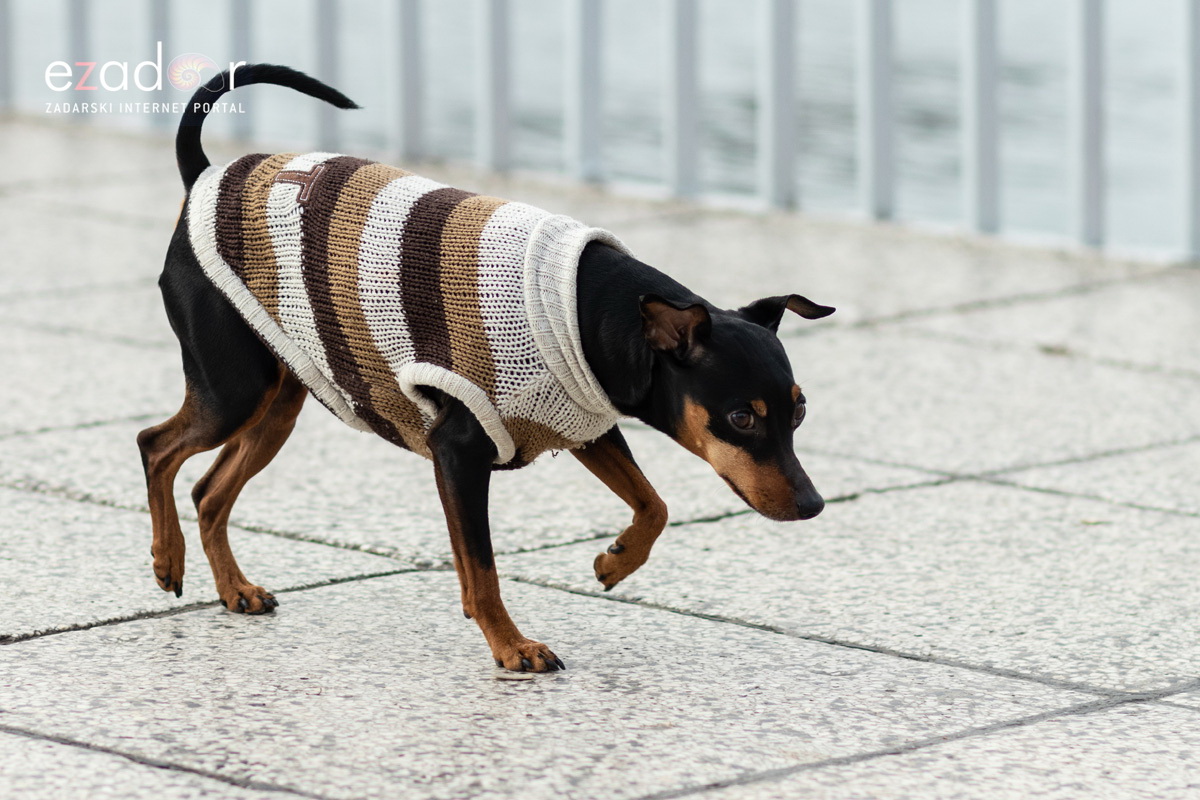 Đir po gradu, subotnja špica 19. siječnja 2019. Đir po gradu, subotnja špica 19. siječnja 2019.